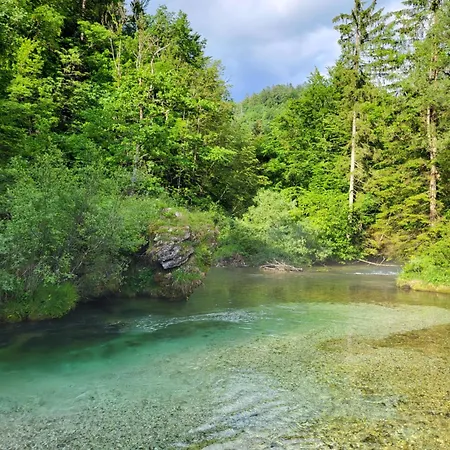 Radovna Riverside Apartment, A Peaceful By The River Near Bled Apartment *